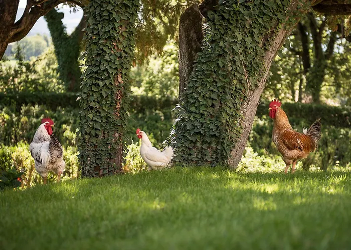 Montegranelli Отель